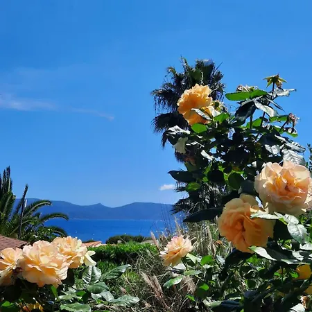 Mare E Monti ホテル