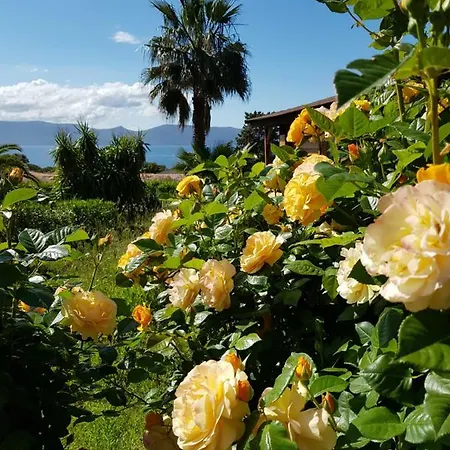 Mare E Monti فندق بورتو بولو