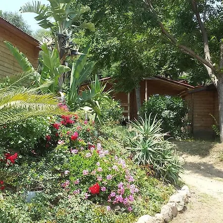 Otel Mare E Monti Porto Pollo