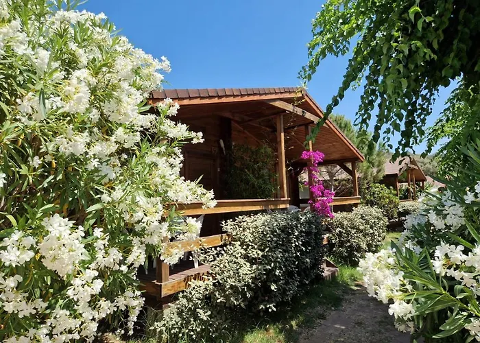 Hotel Mare E Monti Porto Pollo