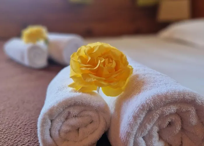 Mare E Monti