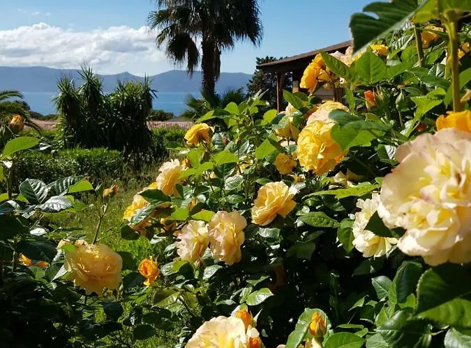 Mare E Monti Hotel Porto Pollo